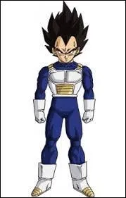 Qui est ce personnage de Dragon ball Z ?