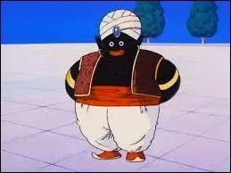 Qui est ce personnage de Dragon ball Z ?