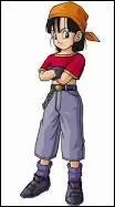 Qui est ce personnage de Dragon ball Z ?