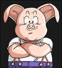 Qui est ce personnage de Dragon ball Z ?