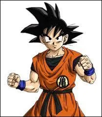 Qui est ce personnage de Dragon ball Z ?