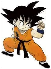 Qui est ce personnage de Dragon ball ?