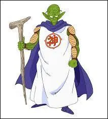 Qui est ce personnage de Dragon ball Z ?