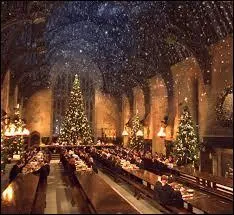 Où les élèves de première année sont-ils répartis dans une maison ?