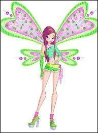 Quelle est cette transformation ?