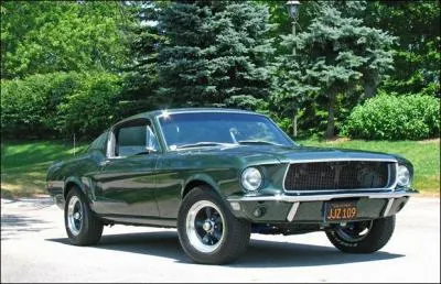 Sacré Steve dans ce film il est lieutenant de police, qui est chargé par un politicien ambitieux de protéger un gangster... Il s'agit du film :