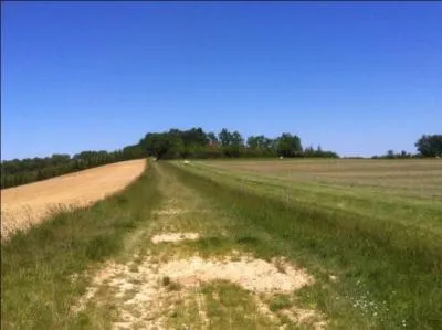 Je ne vois que le soleil qui poudroie, et l'herbe qui verdoie !