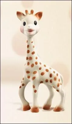 Comment s'appelle ce jouet d'enfant ?