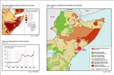 C'est un groupe terroriste qui revendique la création d'un État islamique en Somalie où s'appliquerait la charia.