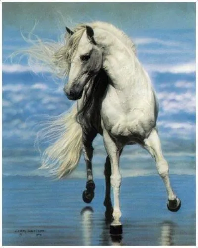 Combien toise-t-il ?