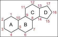D'où en découle la question suivante : qu'est-ce que le stérane ?