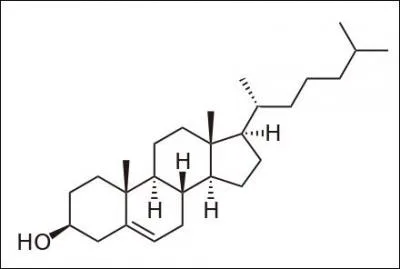 Partant de là, peut-on affirmer que le cholestérol est un stérol ?