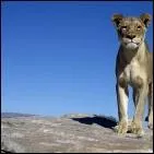 Et comment se nomme la mère de ce petit orphelin ?