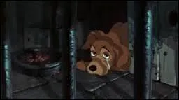 Qui n'a jamais pleuré devant le chant de la fourrière au début de "La Belle et le Clochard" ? Voir tous ces chiots pleurer... Dans ce dessin animé, quels chats cohabitent avec Belle ?