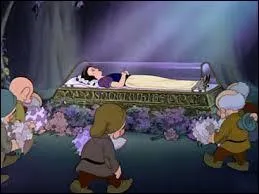 Une cinquième place réservée aux funérailles de Blanche-Neige. Attendez, un des moments les plus émouvants de Disney ! Même Grincheux pleure ! Et pourtant, Grincheux n'est pas Atchoum... Où les nains travaillent-ils ?