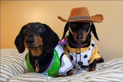 Dans quel pays peux-tu visiter l'Outback ?