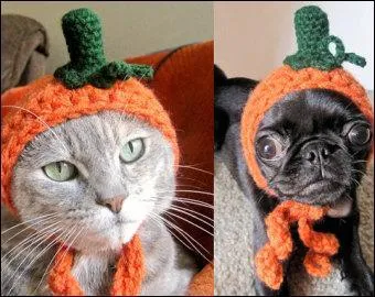 Dans quelle fable Jean de La Fontaine nous parle-t-il d'un chat appelé Raminagrobis ?