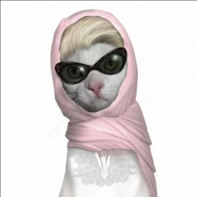 Dans le film "Catwoman" de 2003, qui tient le rôle de Catwoman ?