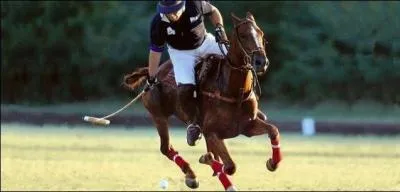 Quel peuple a inventé le polo ?