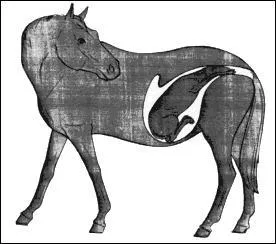 Combien de mois dure la gestation ?