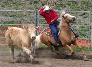 Où est née l'équitation western ?