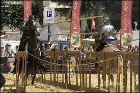 Qu'est-ce qu'une joute équestre (à l'aide de l'image) ?