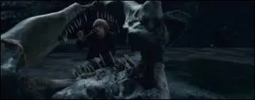 Dans le jeu "Harry Potter et l'Ordre du Phénix", est-il possible d'entrer dans la Chambre des Secrets ?