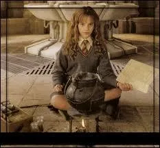 Grâce à quelle pièce accède-t-on à cette Chambre ?