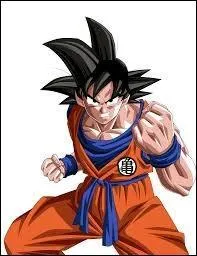 Dans quel manga avez-vous vu ce personnage ?