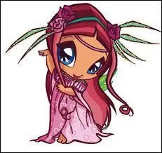 Quel est son pouvoir ?