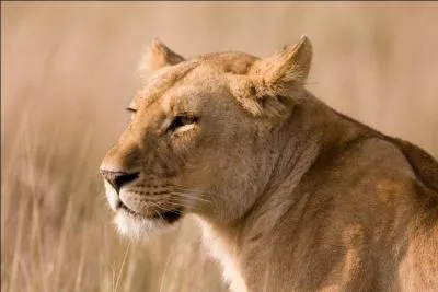 Qu'est-il arrivé à la mère de Fleck ?