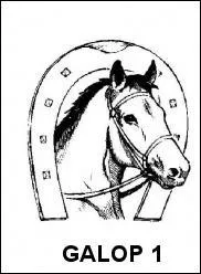 Quelle connaissances ne sont pas demandées pour le galop 1 ?