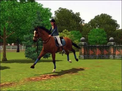 A quel niveau un Sim peut-il galoper sur un cheval ?