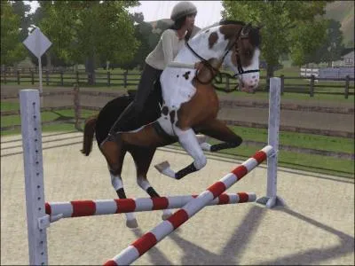 Peut-on faire du saut d'obstacles avec les chevaux ?