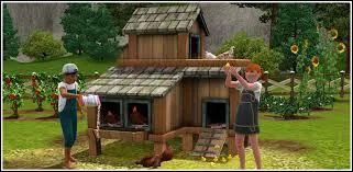 Peut-on avoir des poules ?