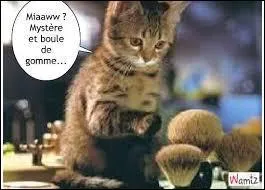 L'expression "mystère et boule de gomme" exprime le mystère. Lequel de ces hommes l'aurait utilisée pour la première fois dans la littérature ?