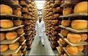La mimolette est un fromage, elle est appelée "vieux Hollande", mais aussi :