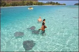 Quelle île est l'île sur de Tahiti ?