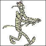 Qu'est-ce que c'est ?