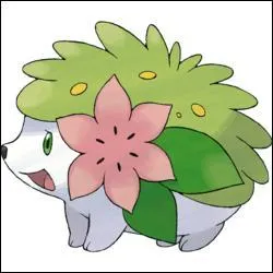 De quel type est Shaymin ?