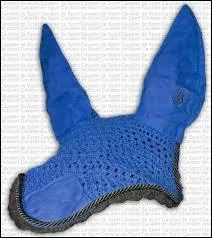 Cette image représente :