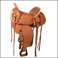 Cette image représente :