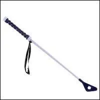 Cette image représente :