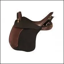 Cette image représente :