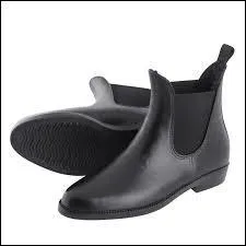 Cette image représente :