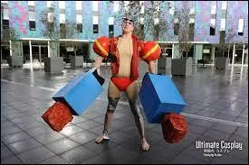 Quel est ce cosplay ?