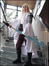 Quel est ce cosplay ?
