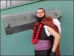 Quel est ce cosplay ?