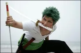 Quel est ce cosplay ?