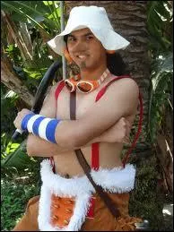 Quel est ce cosplay ?